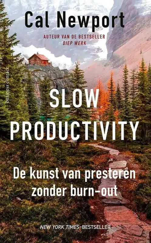 Lage Kosten Slow productivity / Druk 3
