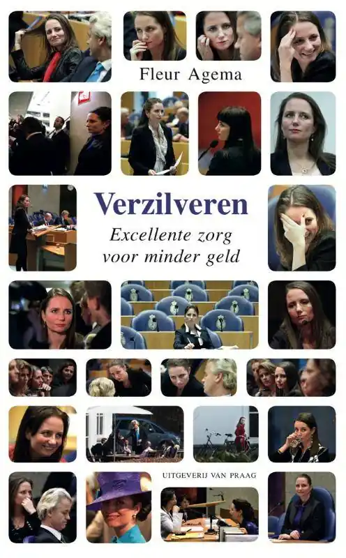 Verzilveren / Druk 1 Snelle Levering