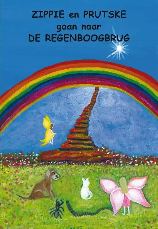 Zippie en Prutske gaan naar de Regenboogbrug / Druk 1 Snelle Levering