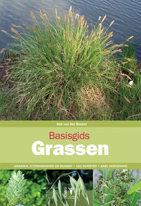 Direct Beschikbaar Basisgids Grassen / Druk 6