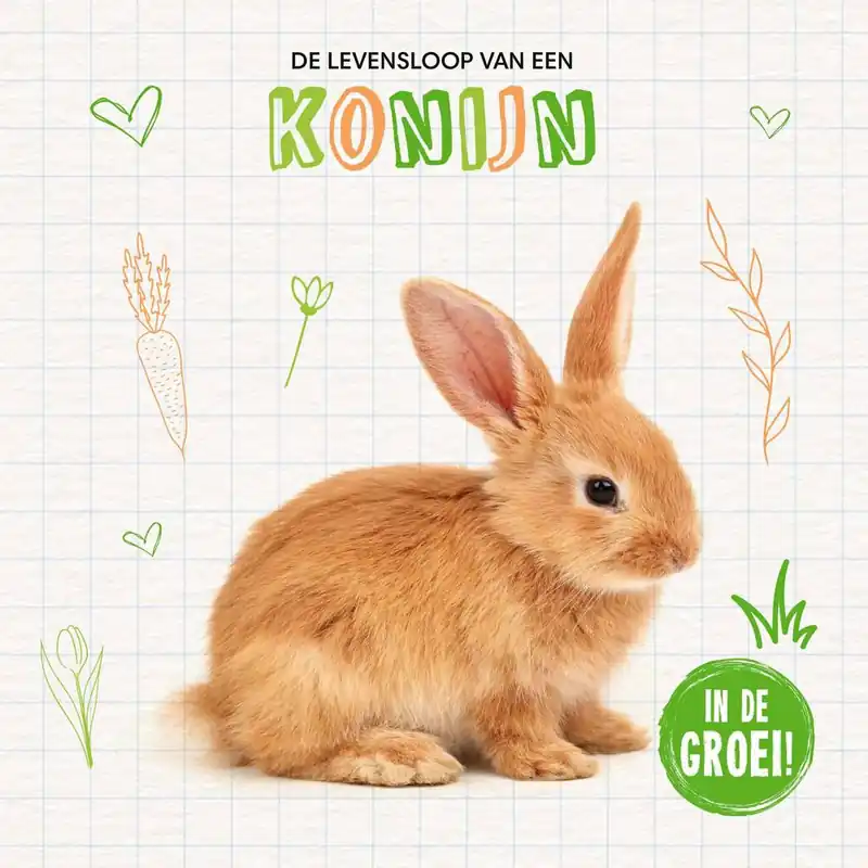 Konijn / Druk 1 Direct Beschikbaar