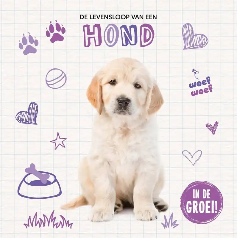 Hond / Druk 1 Betrouwbaar