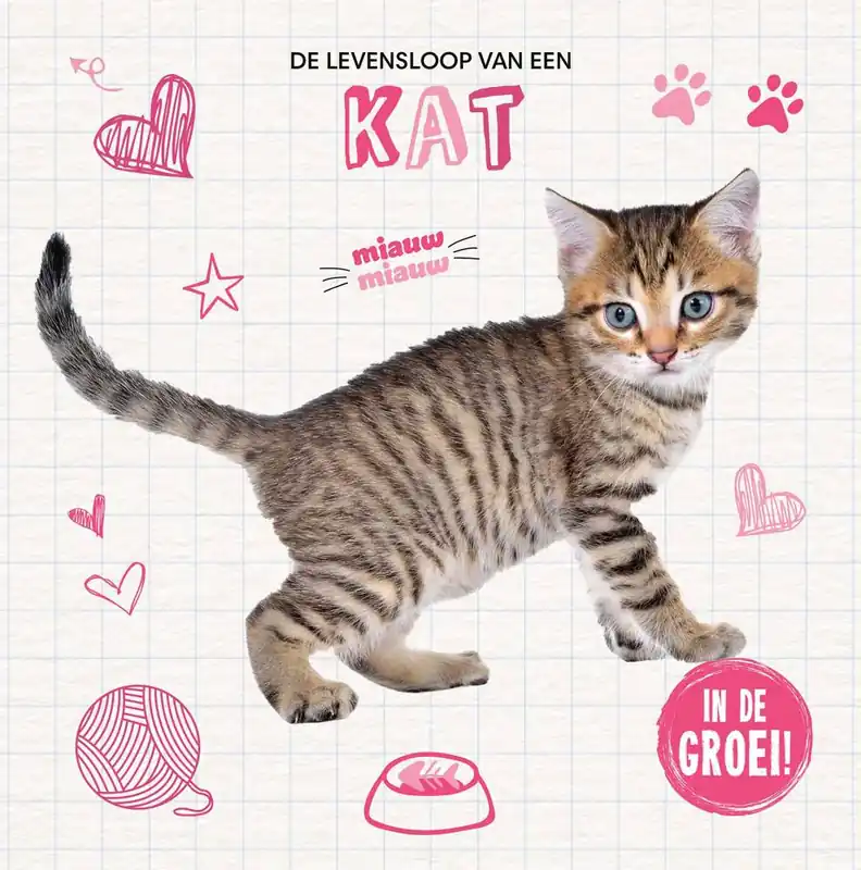 Kat / Druk 1 Op = Op