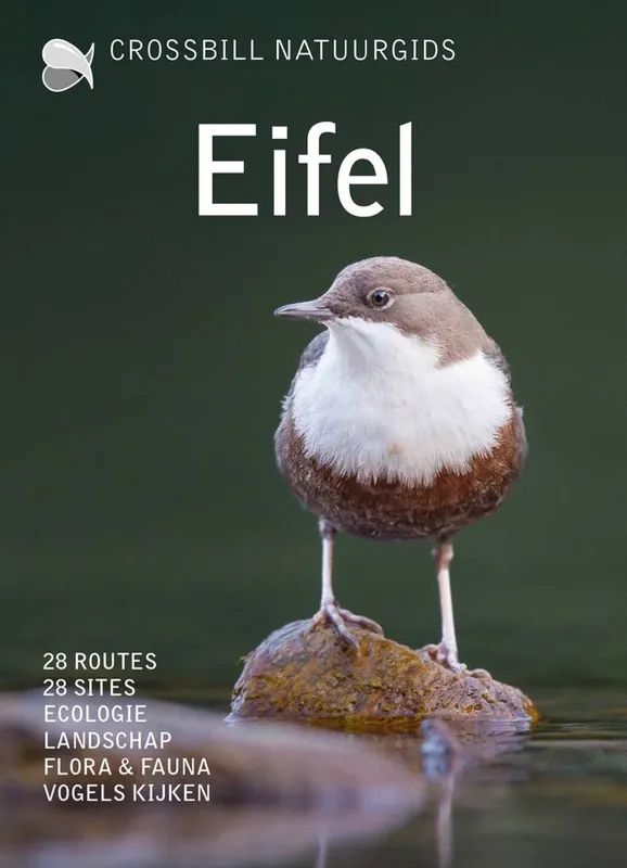 Eifel- Duitsland / Druk 1 Flitsaanbieding