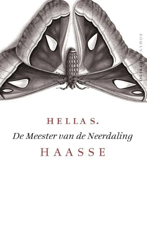 Direct Verzonden De meester van de neerdaling / Druk 9