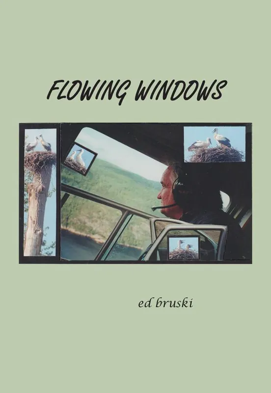 flowing windows / 1st Edition Hoge Kwaliteit