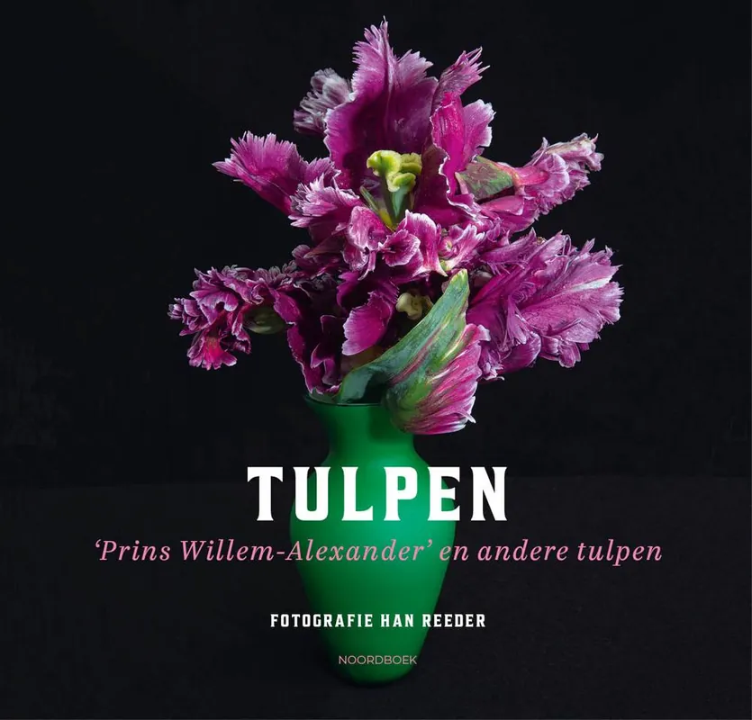 Tulpen / Druk 1 Populair