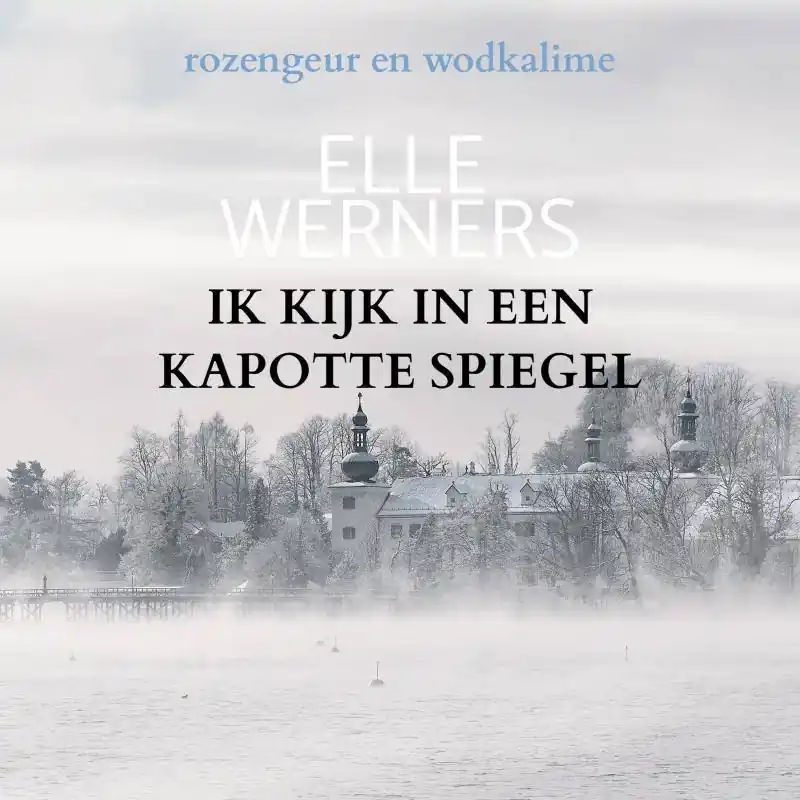 Koop Vandaag IK KIJK IN EEN KAPOTTE SPIEGEL / Druk 1