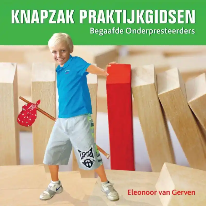 Betaalbaar Begaafde Onderpresteerders / Druk 2