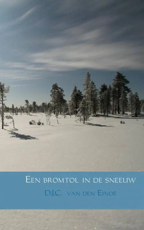 Een bromtol in de sneeuw / Druk 1 Koop Online