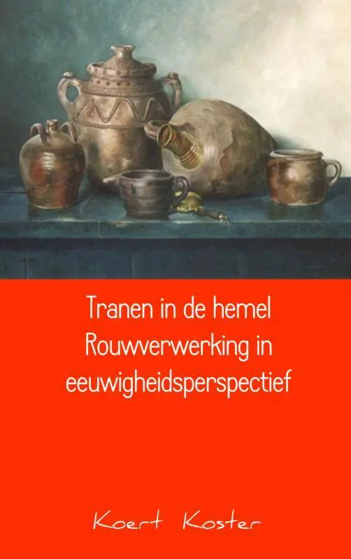 Koop Online Tranen in de hemel Rouwverwerking in eeuwigheidsperspectief / Druk 2