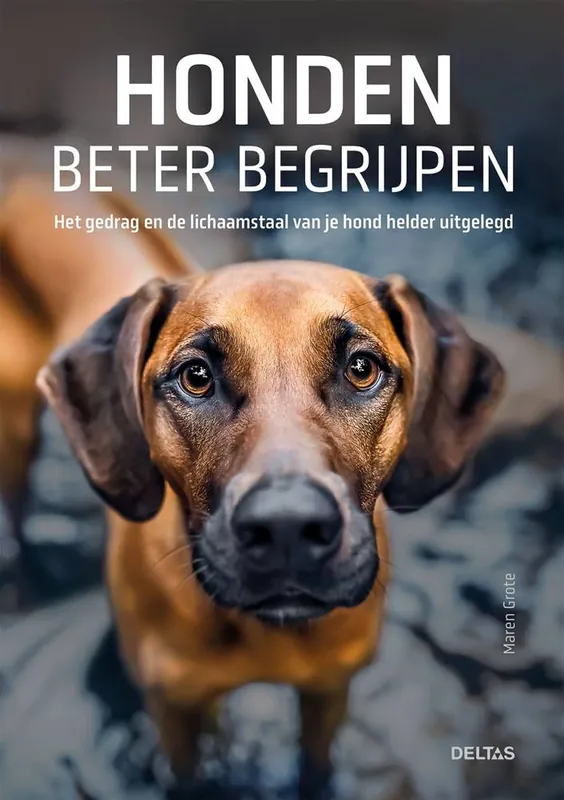 Betrouwbaar Honden beter begrijpen / Druk 1