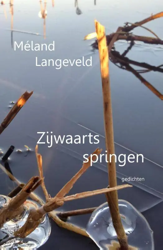 Zijwaarts springen / Druk 2 Merkproduct
