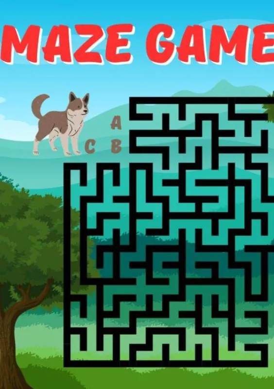 Beste Prijs Maze Games / Druk 1