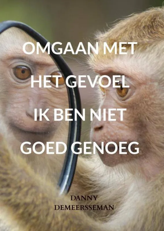 Omgaan met het gevoel ik ben niet goed genoeg / Druk 1 Seizoensaanbieding