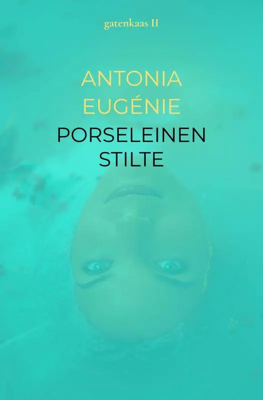 PORSELEINEN STILTE / Druk 1 Koop Vandaag