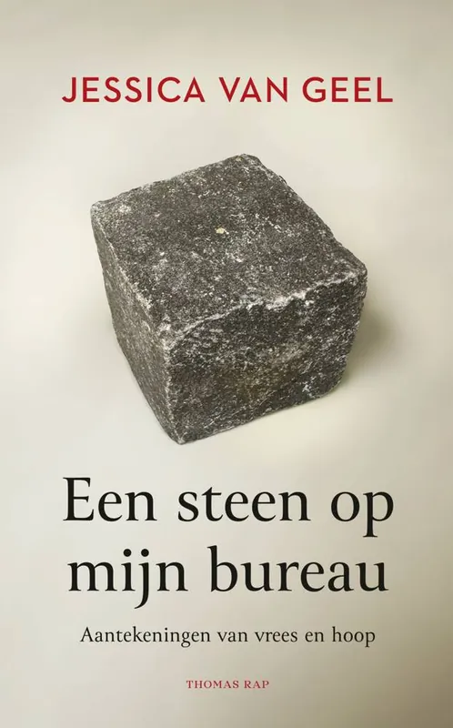 Lage Kosten Een steen op mijn bureau / Druk 1