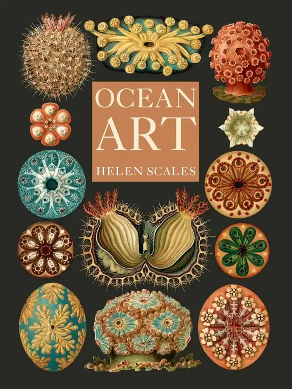 Ocean Art Meest Verkocht