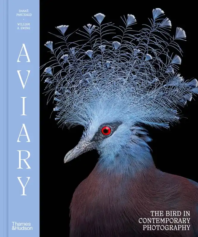 Aviary Bestel Nu