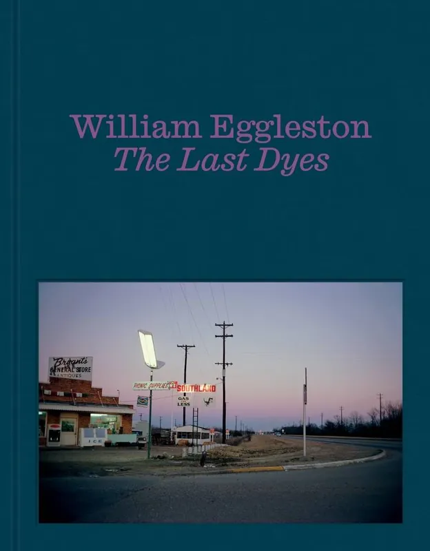 Rechtstreeks Van De Fabrikant William Eggleston: The Last Dyes