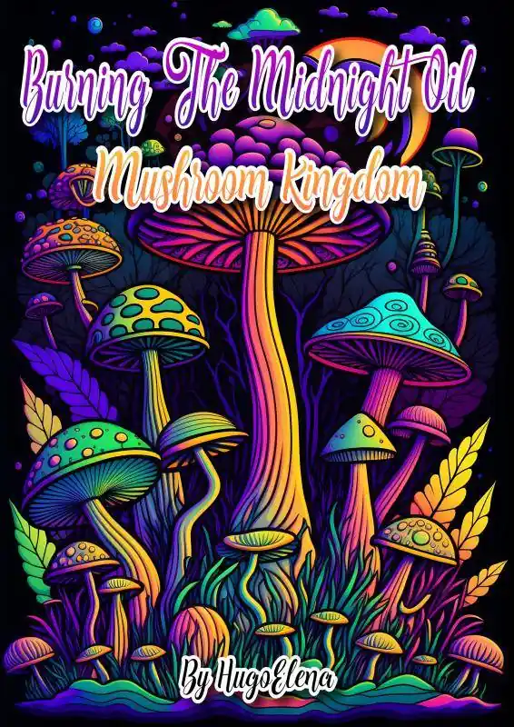 Burning the midnight oil: Mushroom kingdom / 1st Edition Korting