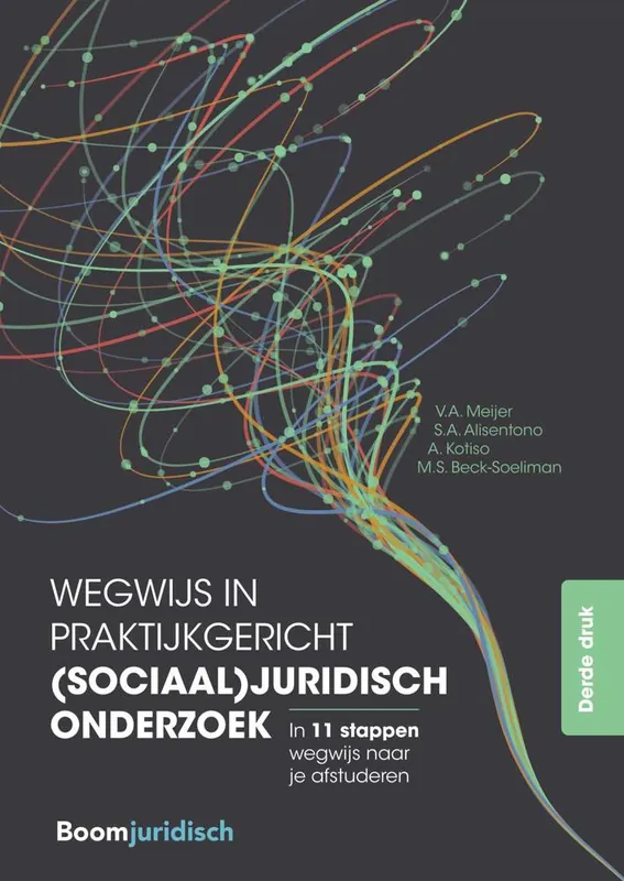 Direct Beschikbaar Wegwijs in praktijkgericht (sociaal)juridisch onderzoek / Druk 3