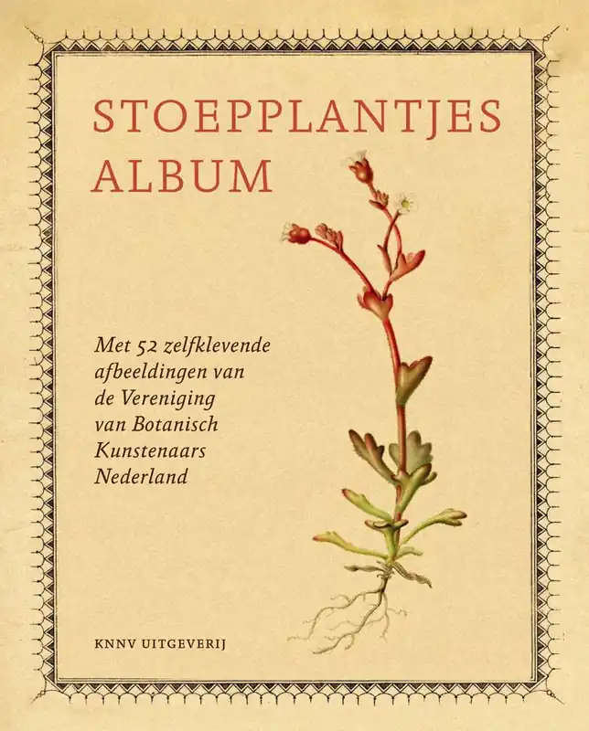 Stoepplantjesalbum / Druk 1 Goedkoop
