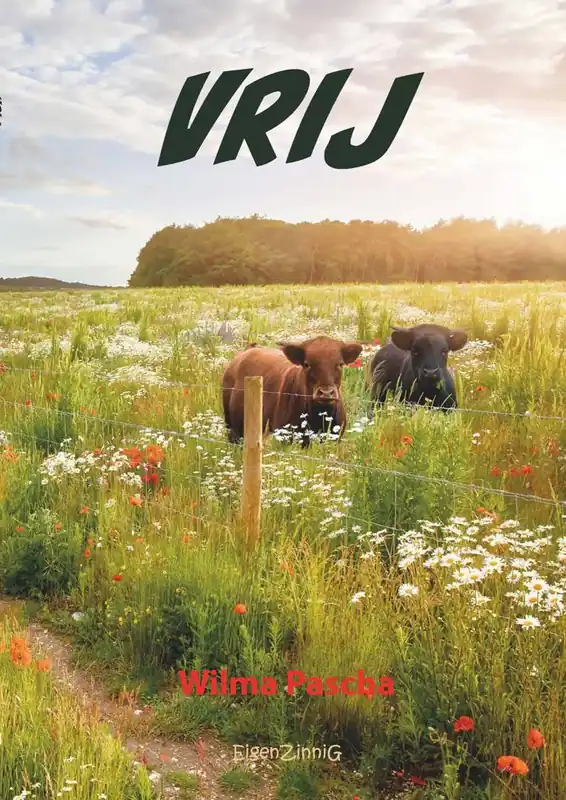 Vrij / Druk 1 Nu Kopen