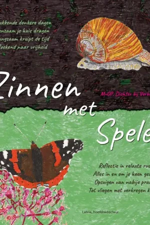 Zinnen met Spelen / Druk 1 Snelle Levering
