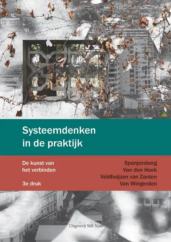 Systeemdenken in de praktijk / Druk 1 Speciale Aanbieding