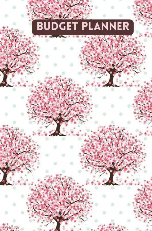 Budget planner - Kasboek - Huishoudboekje - Budgetplanner : Law of Attraction Editie / Druk 1 Beperkt Aanbod