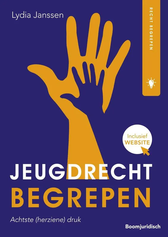 Jeugdrecht begrepen / Druk 8 Speciale Aanbieding