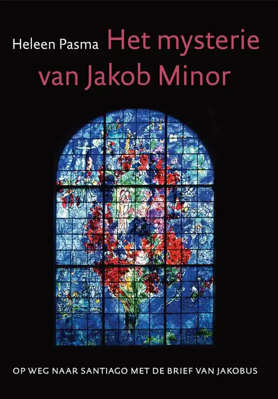 Het mysterie van Jacob Minor / Druk 1 Shop Nu