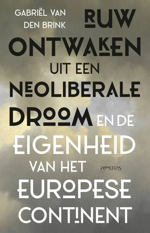 Ruw ontwaken uit de neoliberale droom / Druk 6 Rechtstreeks Van De Fabrikant