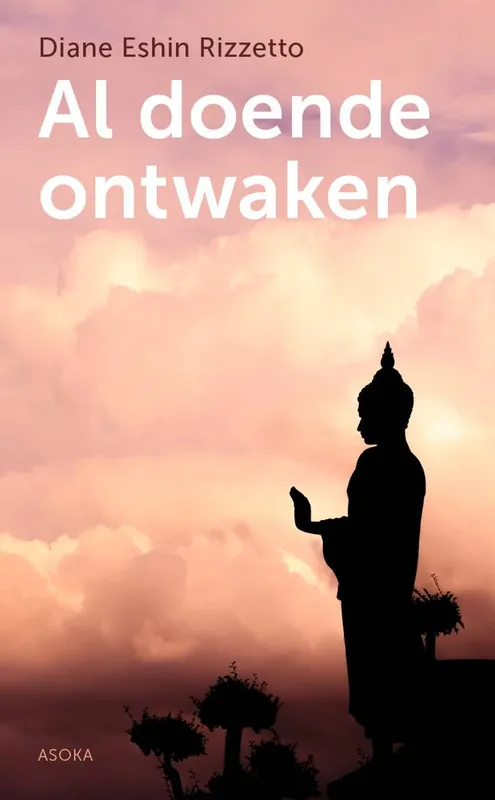 Bestel Nu Al doende ontwaken / Druk 1
