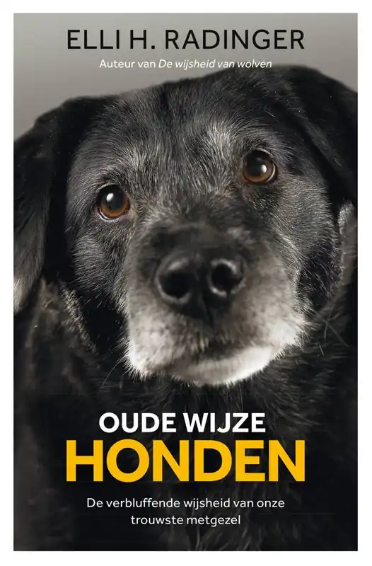Oude wijze honden / Druk 1 Seizoensaanbieding