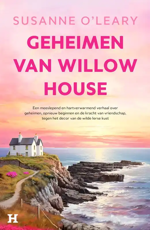 Flitsaanbieding Geheimen van Willow House / Druk 1