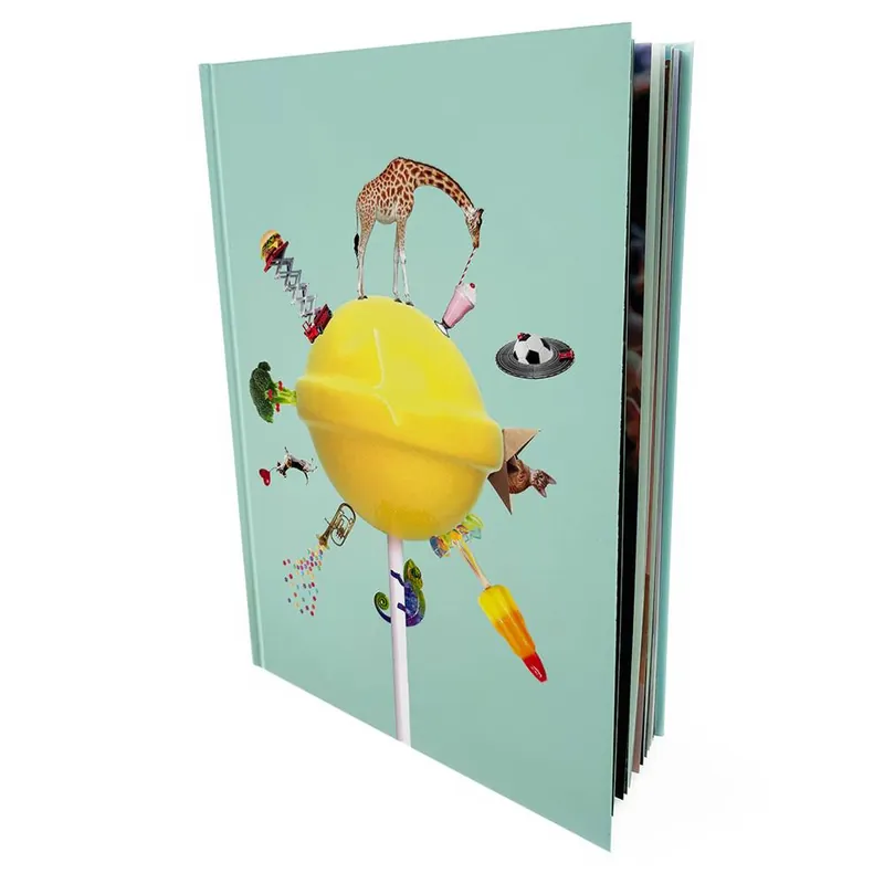 Fabrieksprijs Het grote kijkboek / Druk 1