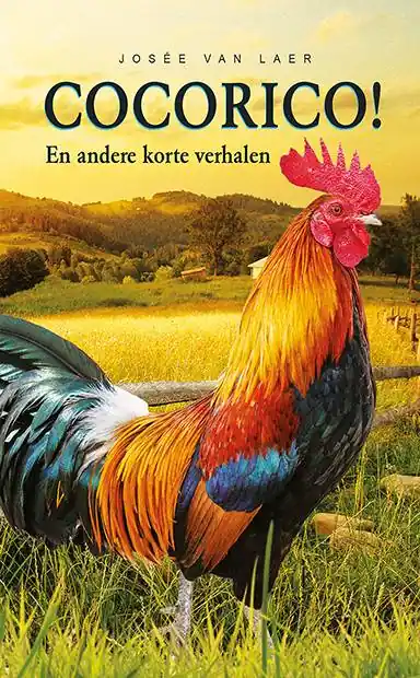 Cocorico / Druk 1 Tijdelijk Beschikbaar