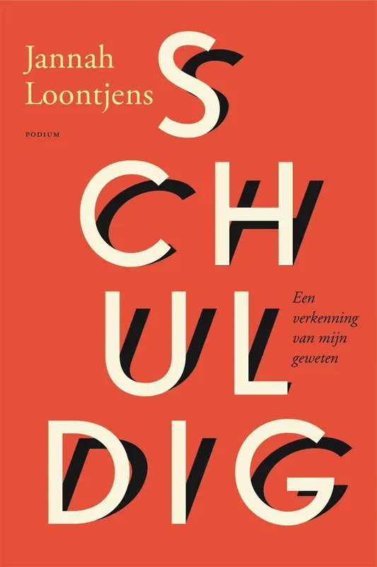 Direct Verzonden Schuldig / Druk 2