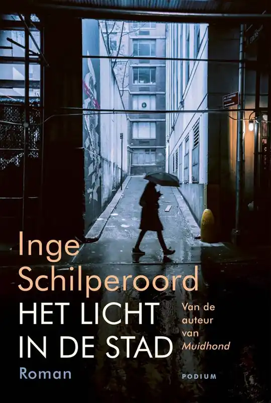 Het licht in de stad / Druk 2 Merkproduct