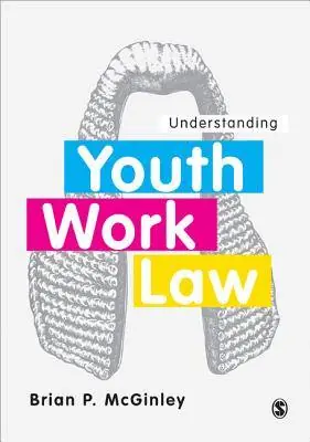Understanding Youth Work Law / 1st Edition Finale Uitverkoop