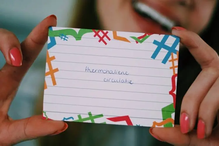 Flashcards Examenbundel Hoge Kwaliteit