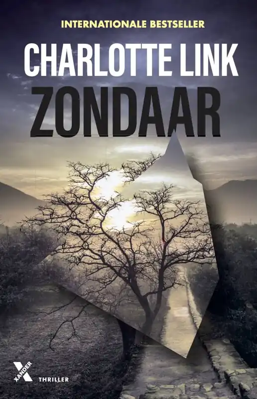 Alleen Vandaag Zondaar / Druk 1