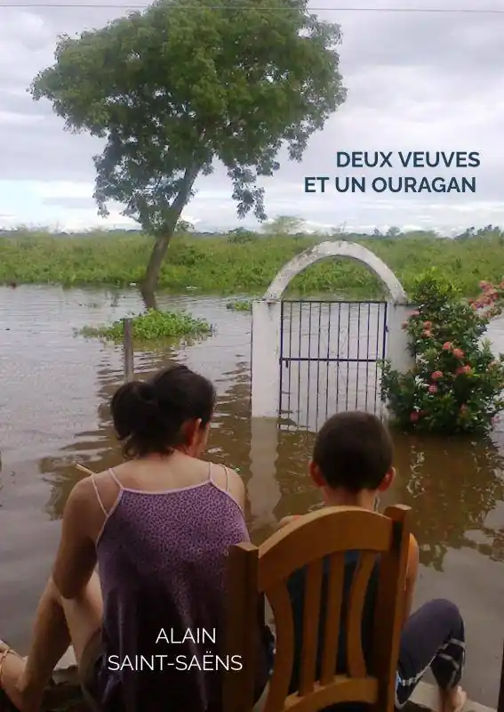 Beperkte Voorraad Deux veuves et un ouragan / 3 Edition