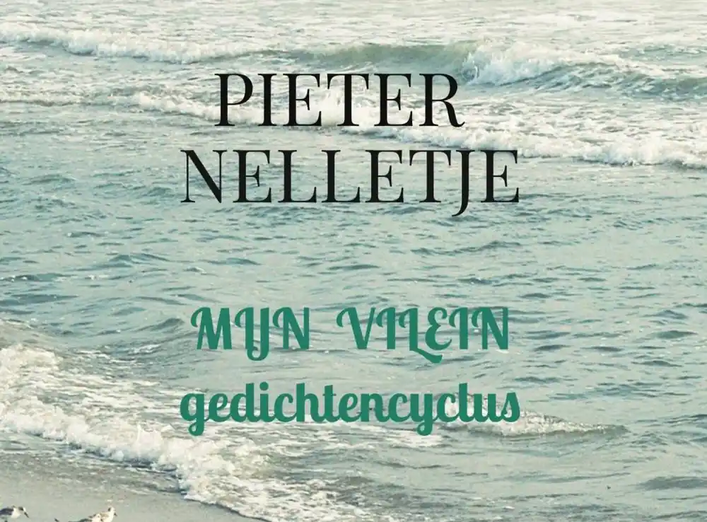 Voordeelprijs MIJN VILEIN / Druk 1