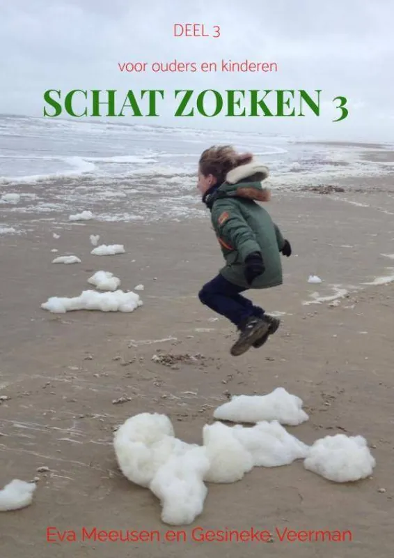 Schat Zoeken 3 / Druk 1 Flitsaanbieding