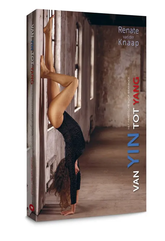 Bestseller Van Yin tot Yang / Druk 1