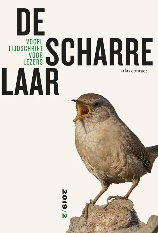Flitsaanbieding De scharrelaar - 2019/2 / Druk 1