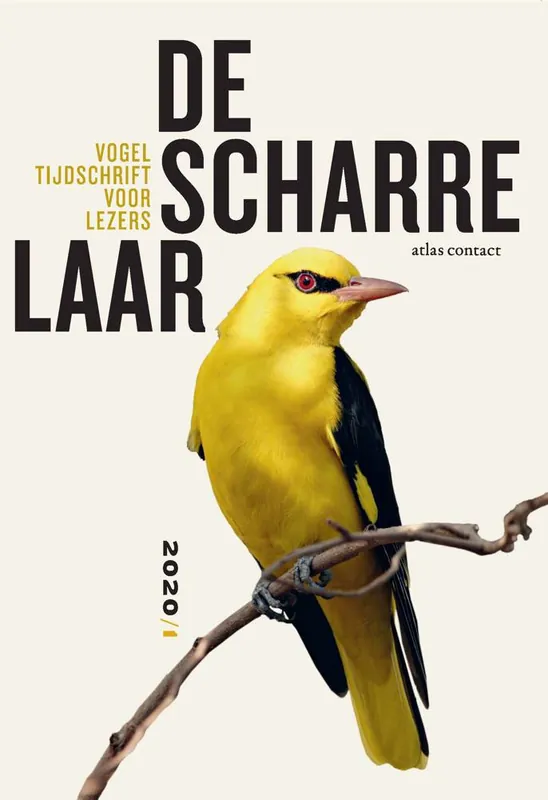 De scharrelaar 2020/1 / Druk 1 Goedkoop